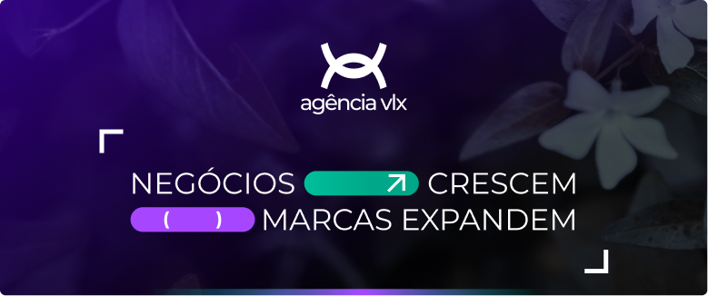 Agência VLX